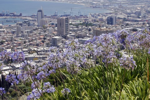 ISRAEL, Northern Coast, Haifa, Zionism Avenue.  View of Haifa's city and port from the Baha'i