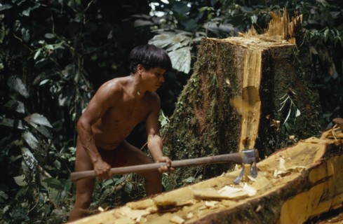 COLOMBIA, Choco, Embera Indigenous People, "Hueso, Embera father using axe to fashion a new family