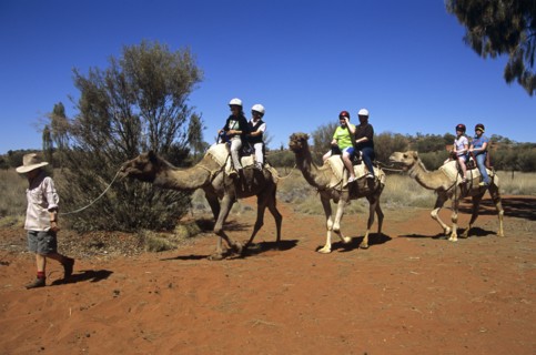 AUSTRALIA, Northern Territory, Uluru, "Kata Tjuta National Park, Camel train and riders, Mount