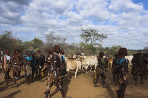 ETHIOPIA, Lower Omo Valley, Turmi, "Hama Jumping of the Bulls initiation ceremony, Ritual dancing