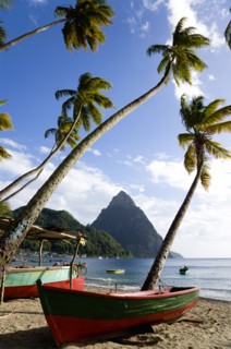 WEST INDIES, St Lucia, Soufriere, Fishing boats on the beach lined with coconut palm trees with the