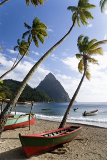 WEST INDIES, St Lucia, Soufriere, Fishing boats on the beach lined with coconut palm trees with the