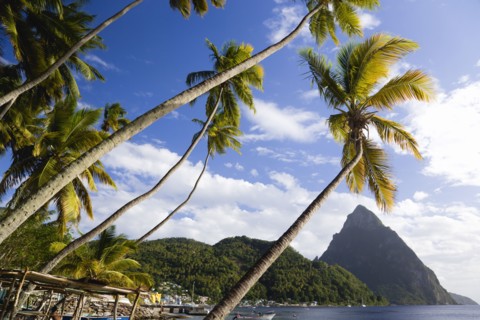 WEST INDIES, St Lucia, Soufriere, Fishing boats on the beach lined with coconut palm trees with the