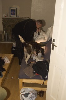 LAW and ORDER, Police, Drugs Raid, Springer Spaniel sniffer dog with handler used in search of