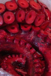 JAPAN, Honshu, Tokyo, Tsukiji fish market.  Close cropped view of red octopus for sale at market