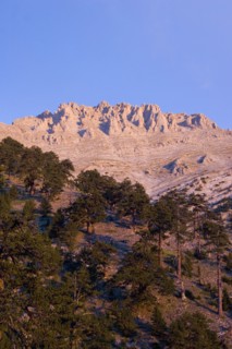 GREECE, Macedonia, Pieria, View of eroded pinnacles of highest peak of Mount Olympus called Mytikas