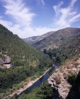 FRANCE, Midi-Pyrenees, Aveyron, "Tarn Gorge.  View west along gorge and river near Village of