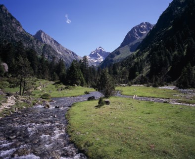 FRANCE, Midi-Pyrenees, Hautes-Pyrenees, Vallee de Lutour.  View south over lower valley with