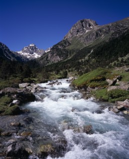 FRANCE, Midi-Pyrenees, Hautes-Pyrenees, Vallee de Lutour looking south with snow covered peak of