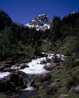 FRANCE, Midi-Pyrenees, Hautes-Pyrenees, Vallee de Lutour looking south with snow covered peak of