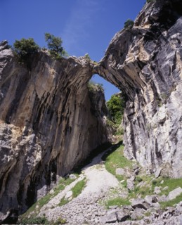SPAIN, Asturias, Picos de Europa, Garganta del Cares.  Water eroded roofless cave in limestone