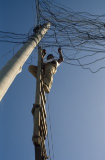 ECUADOR, Guayas Province, Guayaquil , Barrio Indio Guayas slum neighbourhood. Man on ladder