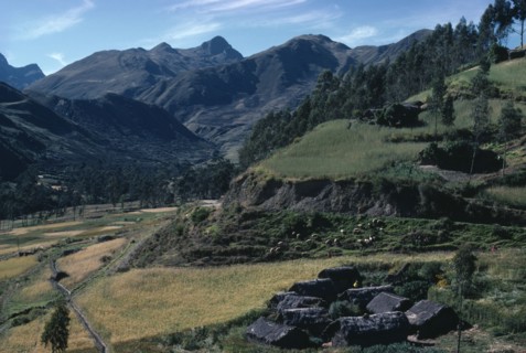 BOLIVIA, Altiplano, Settlement of houses with thatched roofs surrounded by green hills and slopes