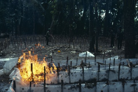 COLOMBIA, , The army burning and destroying a jungle cocaine laboratory in the war against illegal