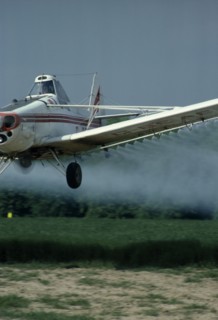 AGRICULTURE, Arable, Crop Spraying, Plane crop spraying