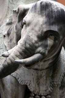 ITALY, Lazio, Rome, Bernini's marble elephant in the Obelisk of Santa Maria sopra Minerva in the