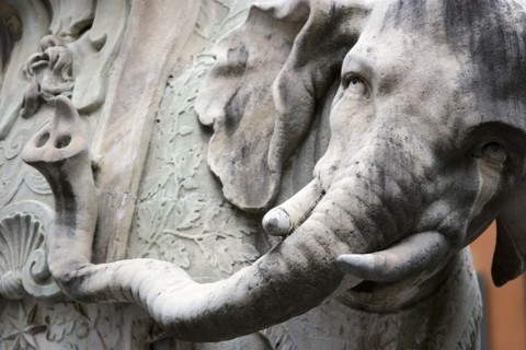 ITALY, Lazio, Rome, Bernini's marble elephant in the Obelisk of Santa Maria sopra Minerva in the