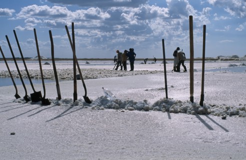 COLOMBIA, La Guajira, Manaure, Salt Mine worked by Guajiro / Wayu Indians. Long handled spades