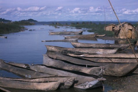 MALAWI, Chilwa, Yav boats on Lake Chilwa.