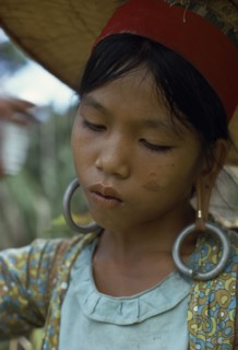 MALAYSIA, Borneo, Sarawak, Young Kayan woman harvesting dry hill rice wearing heavy earrings