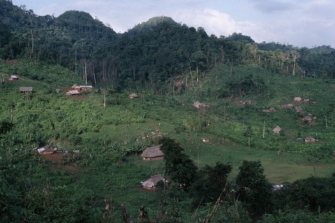 GUATEMALA, Alta Verapaz, Semuy, Q’eqchi Indian refugee village. Thatched roof homes set amongst