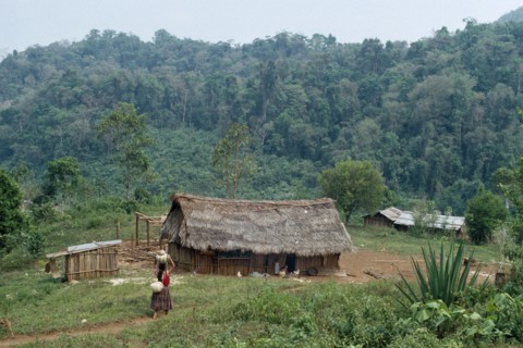 GUATEMALA, Alta Verapaz, Semuy, Q’eqchi Indian refugee village. Woman walking along path carrying a