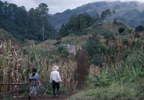 GUATEMALA, El Quiche, Chisis , Ixila Indian man and woman walking along path between maize crop