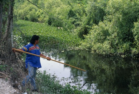 USA, Florida, Everglades, Independent Seminole Native American man named Bobby fishing with a spear