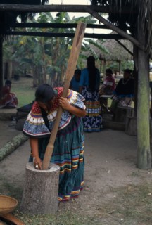 USA, Florida, Everglades, Independent Seminole Native American village. Woman pounding corn wearing