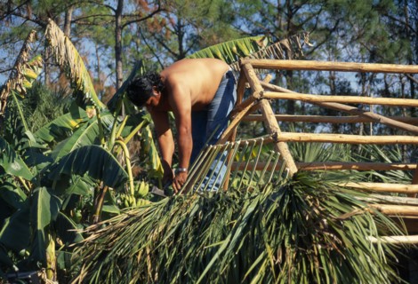 USA, Florida, Everglades, Independent Seminole Native American thatching a Chickee hut using palm