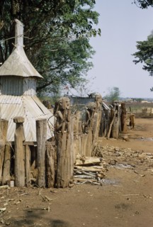 VIETNAM, Central Highlands, Plei Mrong , Montagnard village graveyard with carved wooden effigies