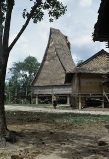 VIETNAM, Central Highlands, Kontum, Montagnard village. Woman walking along path in front of