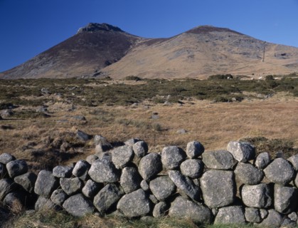 IRELAND, North, County Down, "Mourne Mountain landscape with gorse and coarse, golden brown