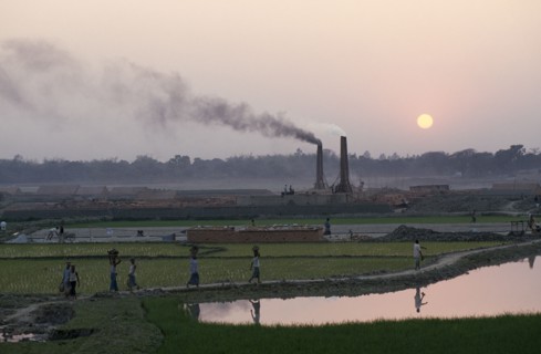 BANGLADESH, Savar, Labourers returning to brick kiln through paddy fields with chimneys releasing