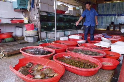 CHINA, Zhejiang , Zhoushan, Seafood restarurant owner showing his selection of King Crabs in