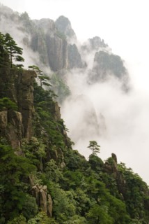 CHINA, Anhui Province, Huang Shan , Huangshan or the Yellow Mountain. Rock peaks with lush green