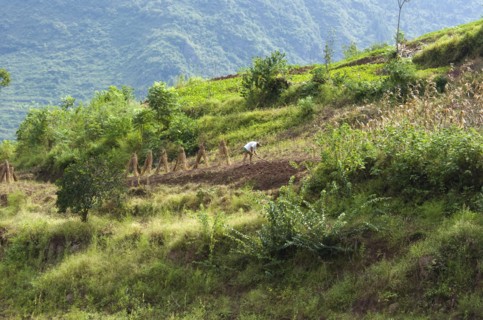 CHINA, Chongqing , Wushan, Farmer tilling the soil. This farm on the Daning River will be submerged
