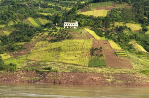 CHINA, Chongqing , Yangtze, Rich farmland on the banks of the Yangtze River near the Qutang Gorge