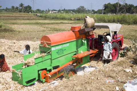 INDIA, Tamil Nadu, Agriculture, Farm labourers processing corn cobs on a type of threshing machine