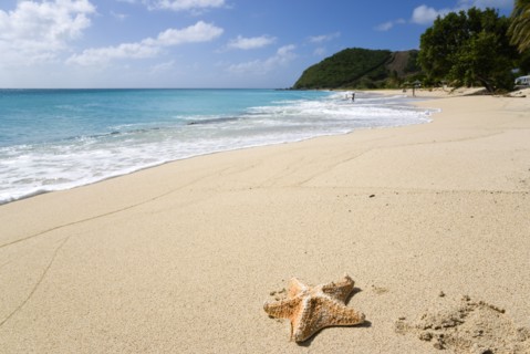 WEST INDIES, St Vincent And The Grenadines, Canouan, South Glossy Beach in Glossy Bay with a