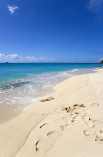 WEST INDIES, St Vincent And The Grenadines, Canouan Island, South Glossy Beach in Glossy Bay with