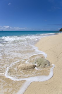 WEST INDIES, St Vincent And The Grenadines, Canouan Island, South Glossy Beach in Glossy Bay with