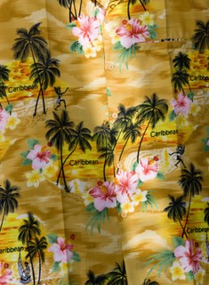 WEST INDIES, St Vincent And The Grenadines, Union Island, "Bright Yellow shirt with a pattern of