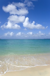 WEST INDIES, Grenada, Carriacou, Waves breaking on Paradise Beach at L'Esterre Bay with the