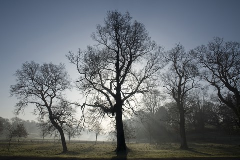 20093546 IRELAND Fermanagh Enniskillen Castle Coole estate on a frosty morning
