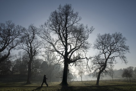 20093547 IRELAND Fermanagh Enniskillen Castle Coole estate on a frosty morning. A woman out walking