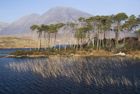 20093575 IRELAND Galway Connemara Derryclare Lough with Maumturk Mountains behind