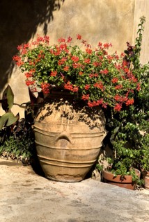 20093651 ITALY Campania Ravello Villa Cimbrone. Urn with flowers