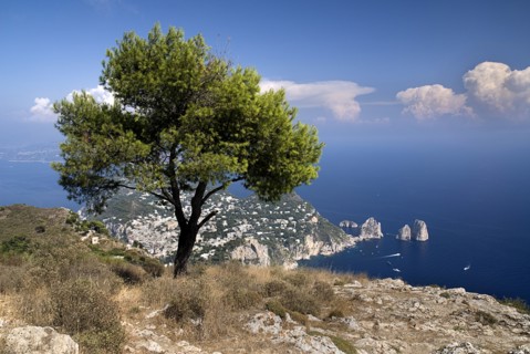 20093668 ITALY Campania Island of Capri Vista from Capris highest mountain Monte Solaro