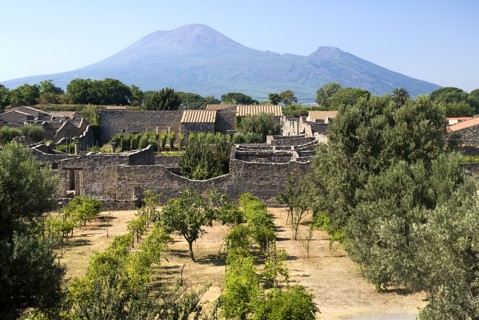 20093674 ITALY Campania Pompeii View over the eastern section of the ruined city with Vesuvius in the background